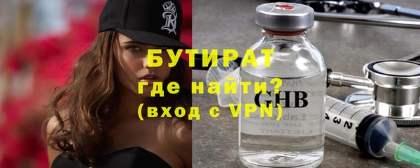 индика Медвежьегорск