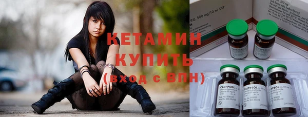 индика Медвежьегорск