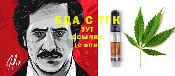 индика Медвежьегорск