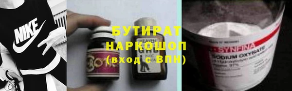 индика Медвежьегорск