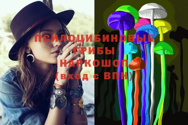 стаф Михайловск