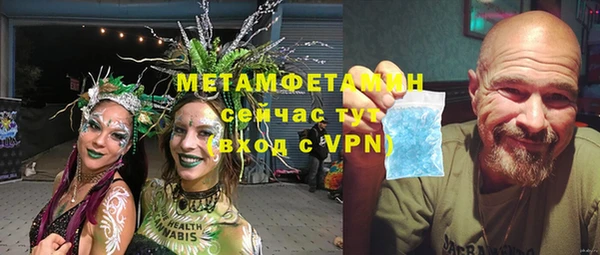 индика Медвежьегорск