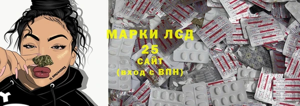 индика Медвежьегорск