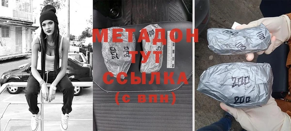 индика Медвежьегорск