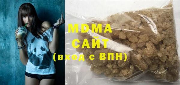индика Медвежьегорск