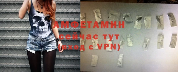 индика Медвежьегорск