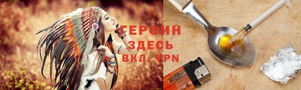 индика Медвежьегорск