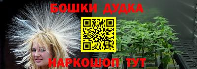 мдпв Гусев