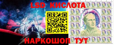 мдпв Гусев