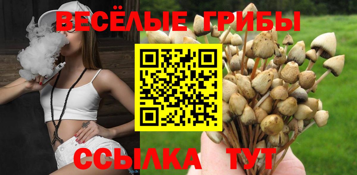 Галлюциногенные грибы мухоморы  где купить   Кувандык  Вход с VPN 